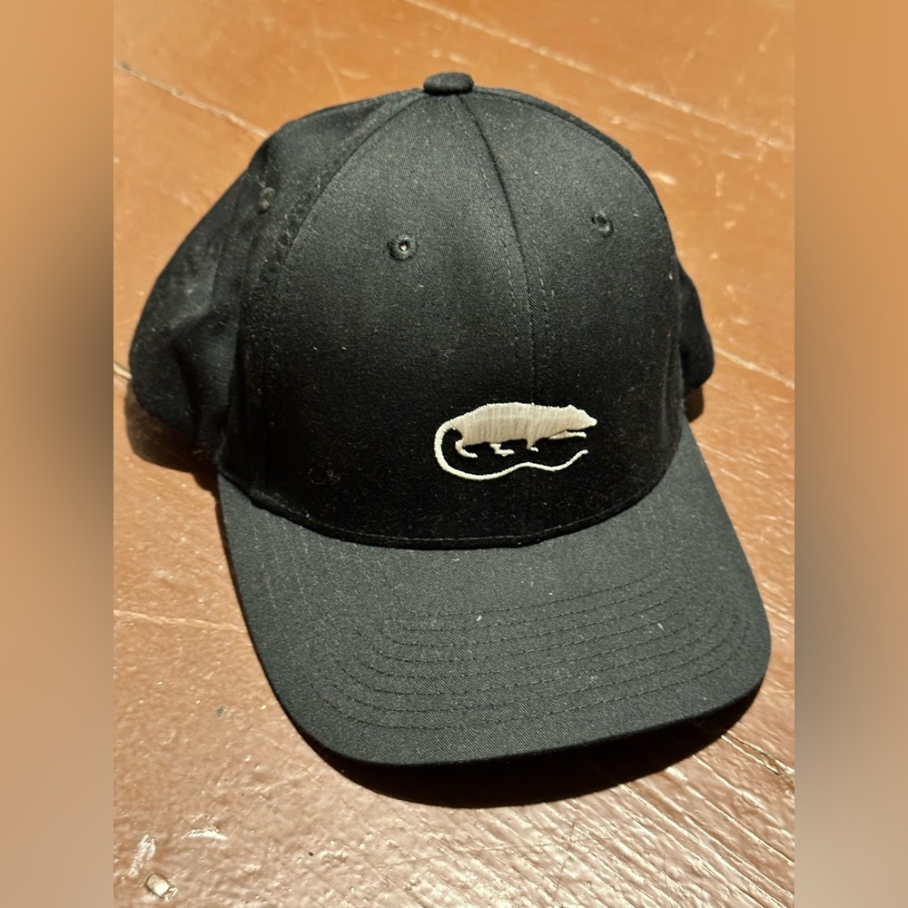 Rat Sound Systems on The Classic Black Cap